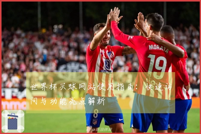 世界杯买球网站使用指南：快速访问与功能亮点解析