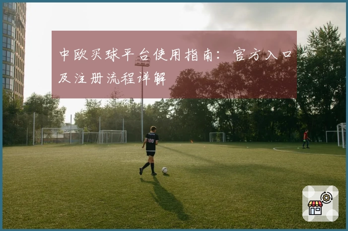 中欧买球平台使用指南：官方入口及注册流程详解