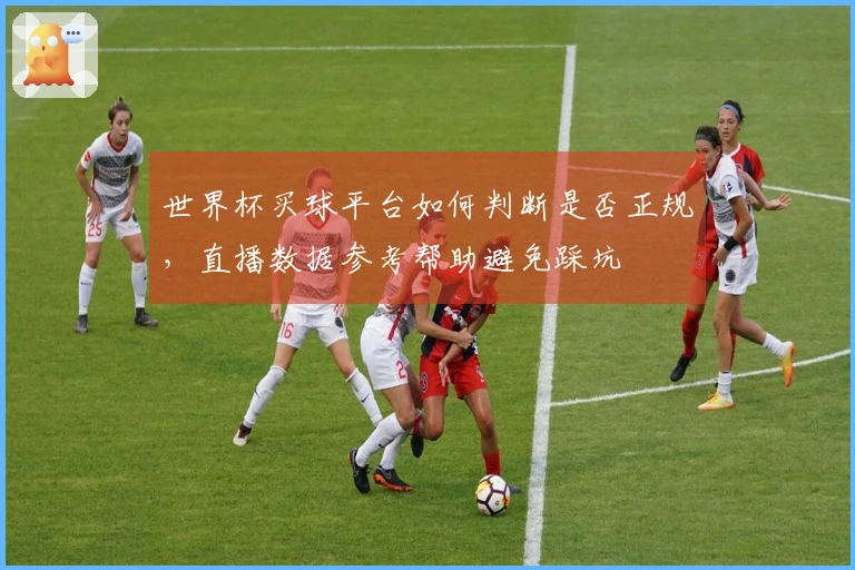 世界杯买球平台如何判断是否正规,直播数据参考帮助避免踩坑