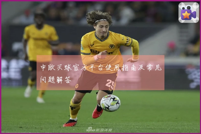 中欧买球官方平台使用指南及常见问题解答