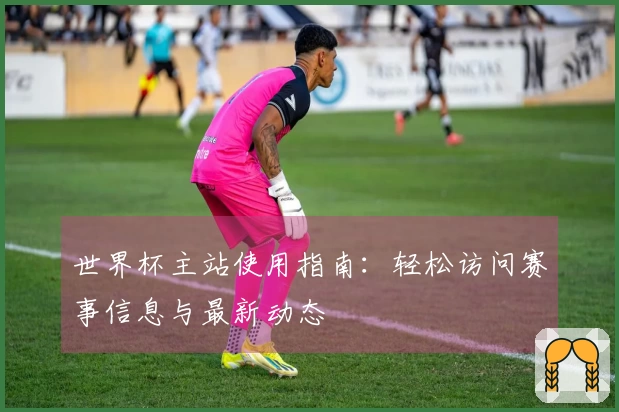 世界杯主站使用指南：轻松访问赛事信息与最新动态