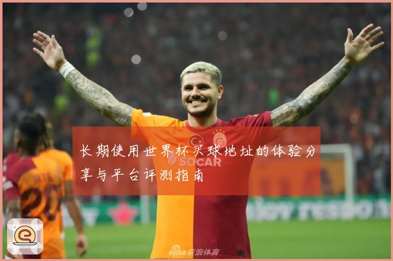 长期使用世界杯买球地址的体验分享与平台评测指南