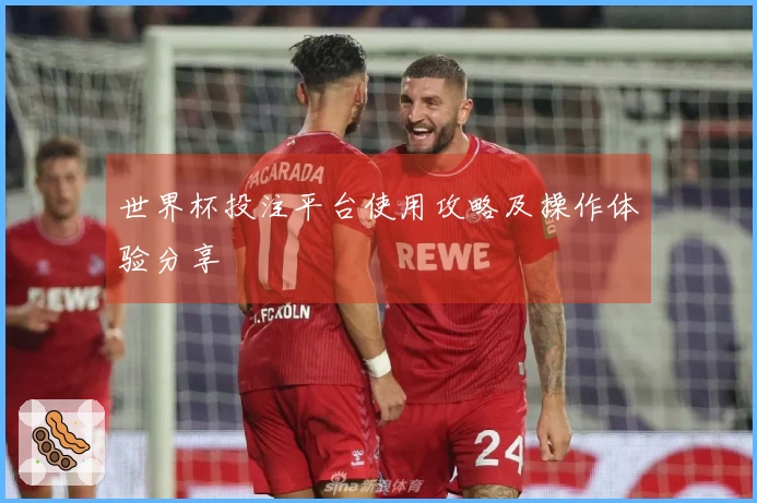 世界杯投注平台使用攻略及操作体验分享