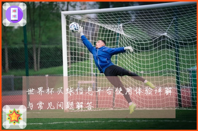世界杯买球信息平台使用体验详解与常见问题解答