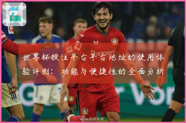 世界杯投注平台平台地址的使用体验评测：功能与便捷性的全面分析