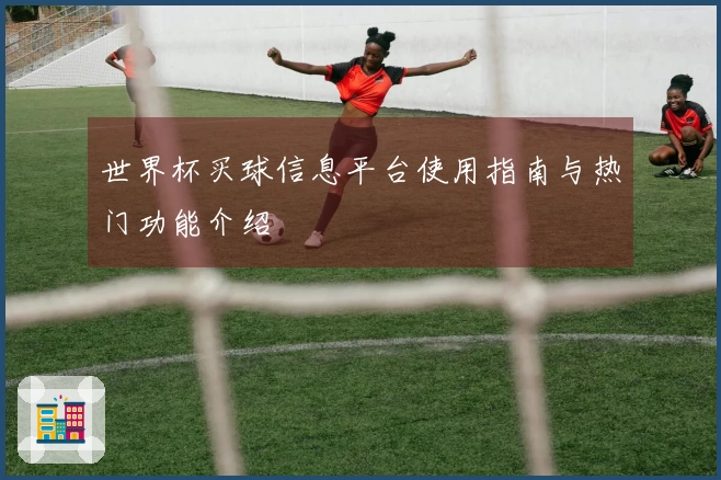 世界杯买球信息平台使用指南与热门功能介绍