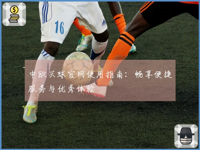 中欧买球官网使用指南：畅享便捷服务与优秀体验