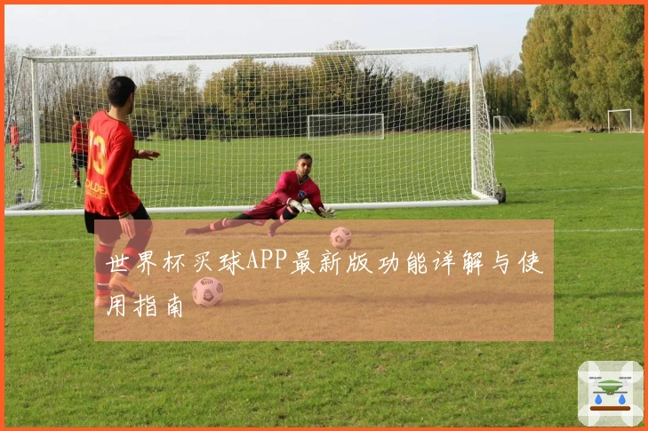 世界杯买球APP最新版功能详解与使用指南