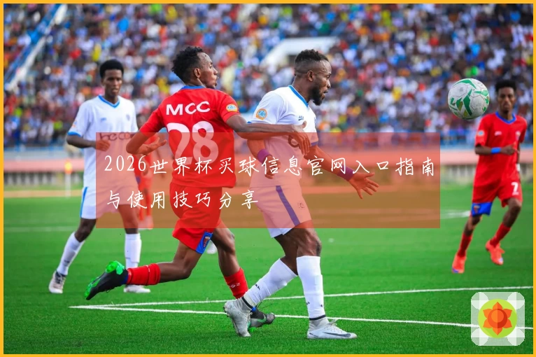 2026世界杯买球信息官网入口指南与使用技巧分享