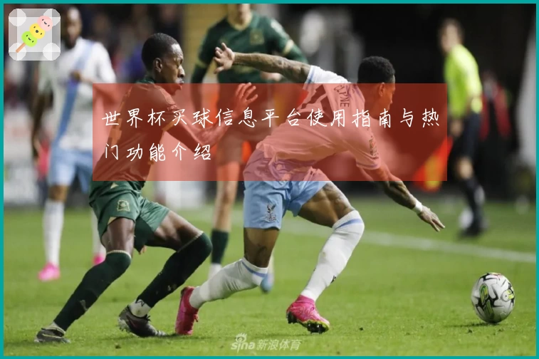 世界杯买球信息平台使用指南与热门功能介绍